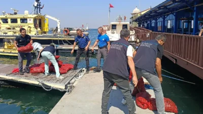 İzmir’in Balçova ilçesinde gerçekleştirilen deniz denetiminde, yasa dışı yollarla çıkarılan