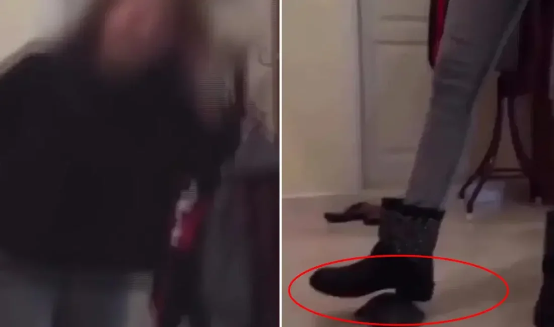 Zonguldak'ın Karadeniz Ereğli ilçesinde bir kaplumbağanın ayağıyla ezilerek katledildiği dehşet