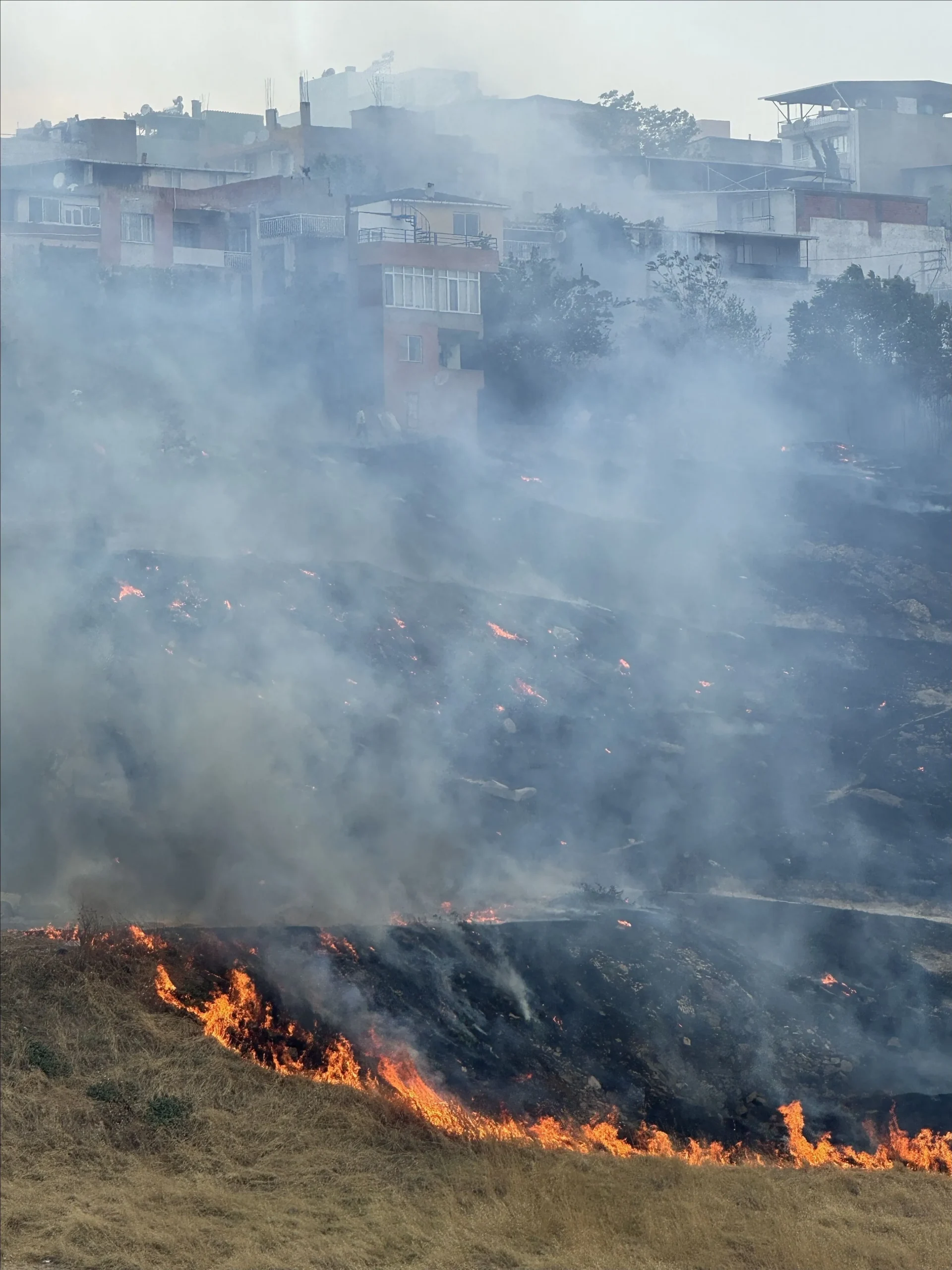 Karşıyaka Örnekköy'de alevler evlerin eşiğinde: İtfaiyeden zamanla yarış