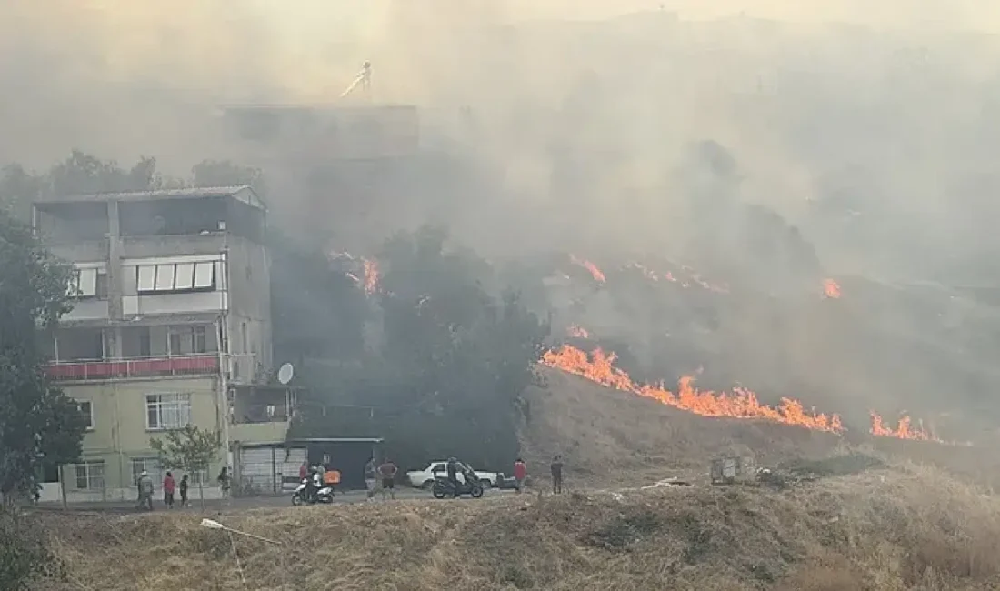 İzmir'in Karşıyaka ilçesinde otluk alanda çıkan yangın, şiddetli rüzgarın etkisiyle
