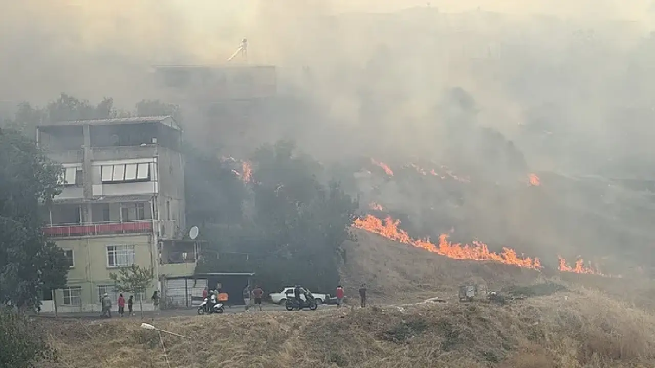 İzmir'in Karşıyaka ilçesinde otluk alanda çıkan yangın, şiddetli rüzgarın etkisiyle