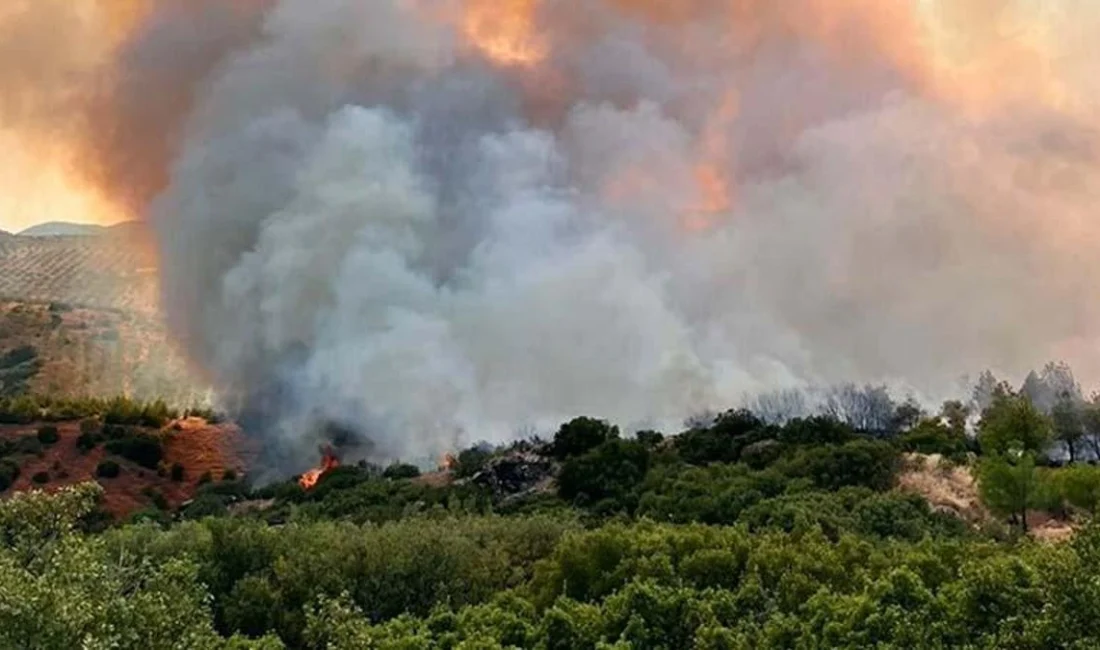Manisa’nın Kula ilçesinde tarım arazisinde başlayan yangın, rüzgarın etkisiyle ormanlık