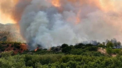 Manisa’nın Kula ilçesinde tarım arazisinde başlayan yangın, rüzgarın etkisiyle ormanlık