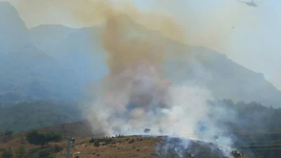 Manisa’nın Şehzadeler ilçesinde çıkan orman yangını, şiddetli rüzgarın etkisiyle kısa