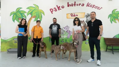 İzmir Büyükşehir Belediyesi, “Patili Dostlar İş Başında” projesiyle yıllardır belediye