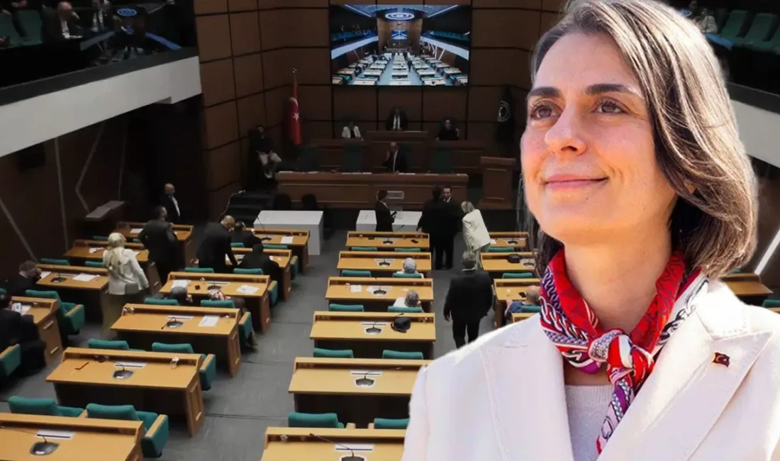 Tutuklanarak görevden uzaklaştırılan Üsküdar Belediye Başkanı Sinem Dedetaş'ın yerine belediye