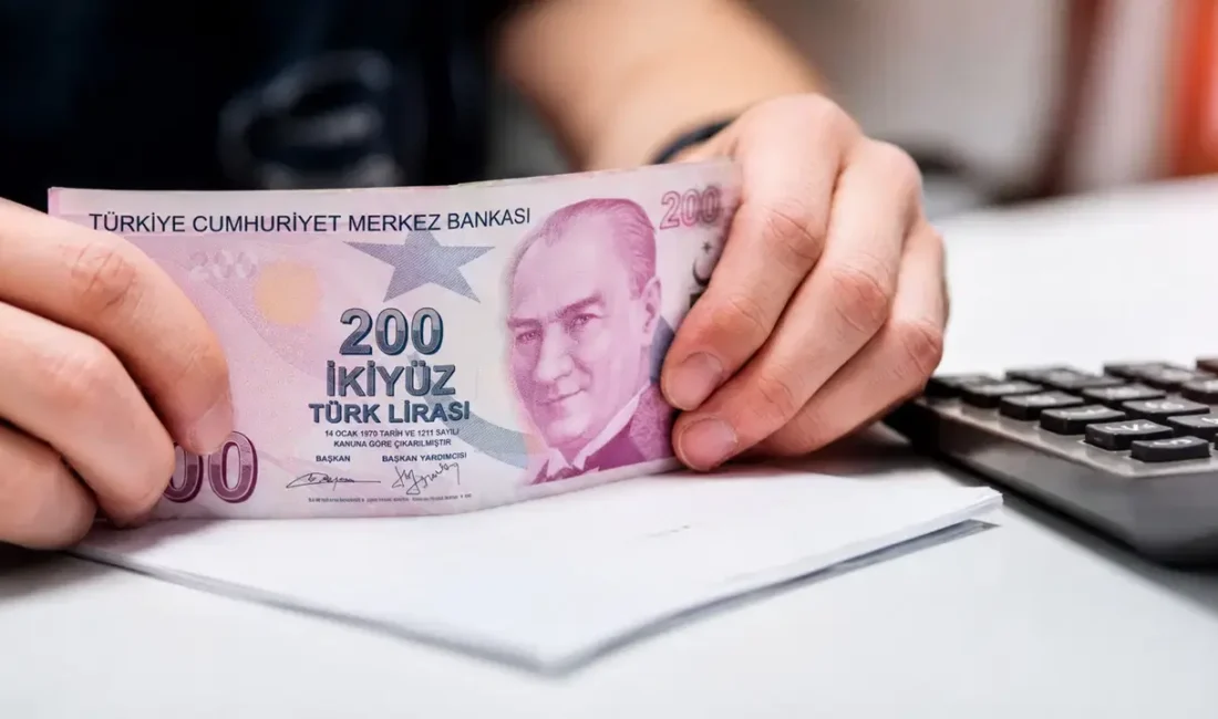 Türkiye İstatistik Kurumu’nun (TÜİK) açıkladığı son veriler, Türkiye ekonomisinin kâğıt