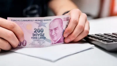 Türkiye İstatistik Kurumu’nun (TÜİK) açıkladığı son veriler, Türkiye ekonomisinin kâğıt