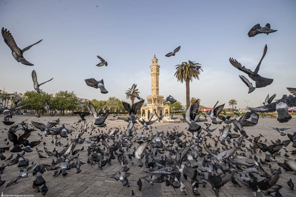 İzmir’in iklim deneyimi Avrupa’ya taşınacak