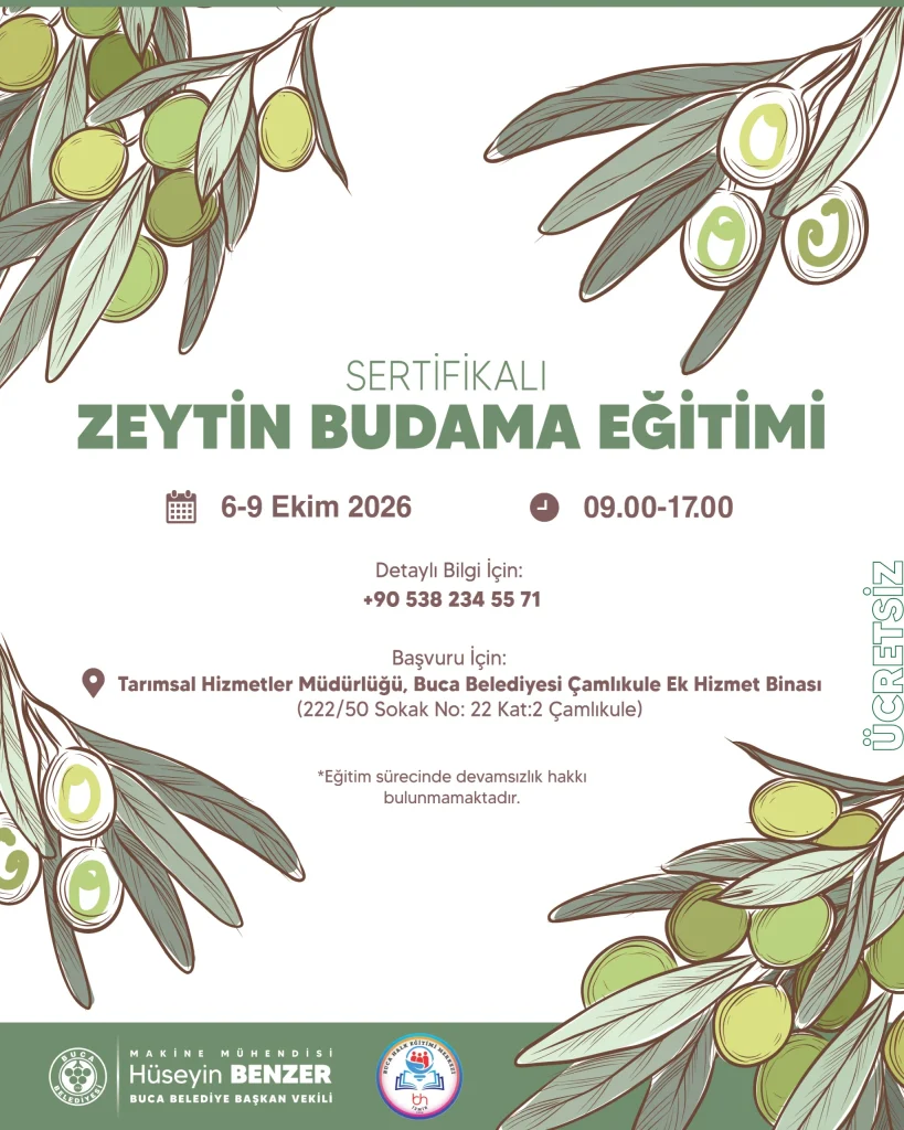 Buca Belediyesi’nden ücretsiz sertifikalı zeytin budama eğitimi