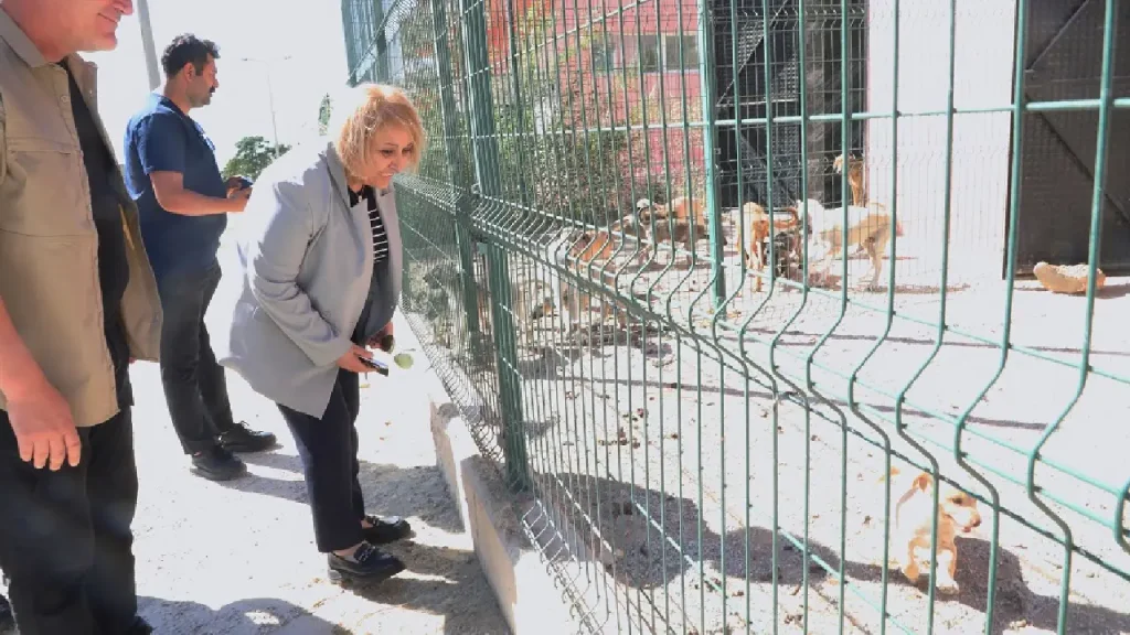 Başkan V. Şen’den hafta sonu mesaisi