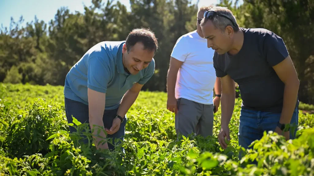 Halkın toprağından halkın sofrasına: Bornova’da sosyal belediyecilikte dev adım! 4 Halkın toprağından halkın sofrasına: Bornova’da sosyal belediyecilikte dev adım!