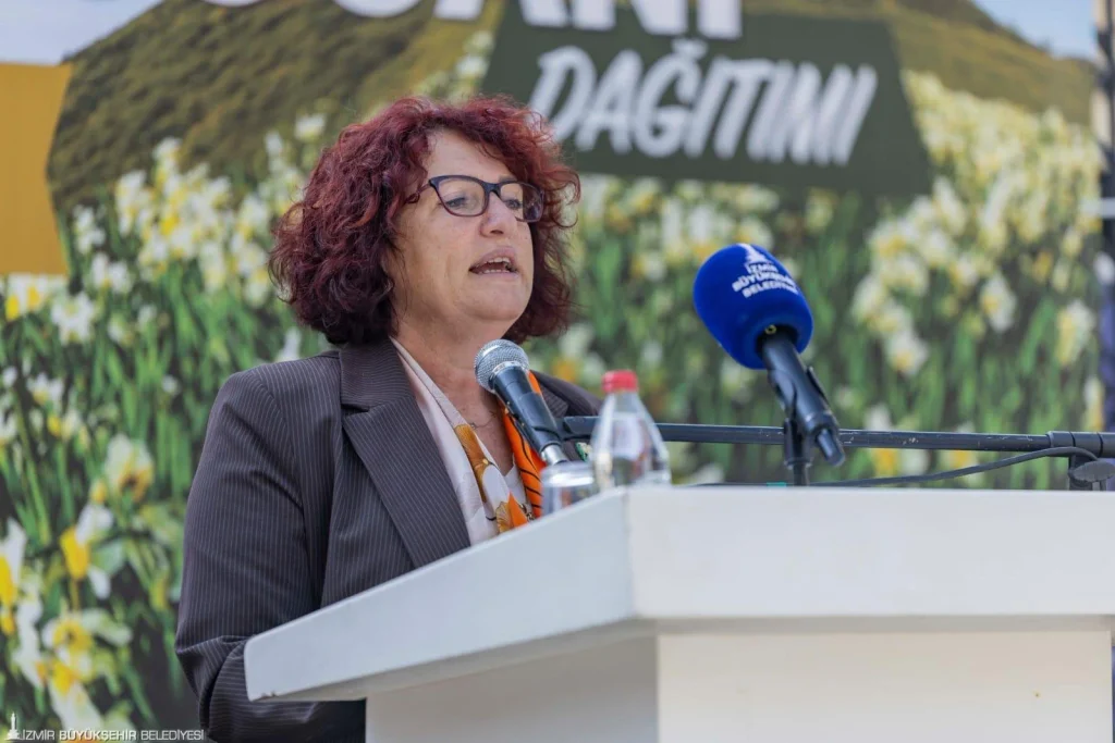 Karaburun’un nergis üretimine büyük destek: 300 bin soğan toprakla buluşuyor!