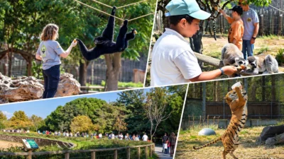 Günlerin kısalmaya başlamasıyla birlikte İzmir Doğal Yaşam Parkı’nın ziyaret saatleri