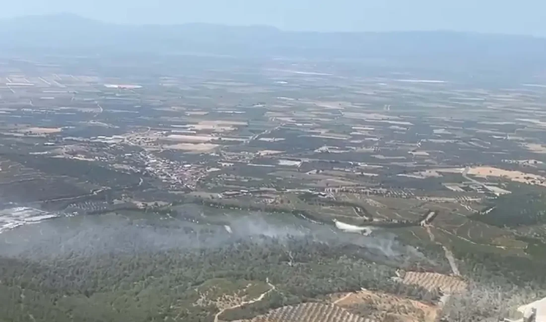 Manisa’nın Soma ilçesinde çıkan orman yangını kentin üzerinde yoğun duman
