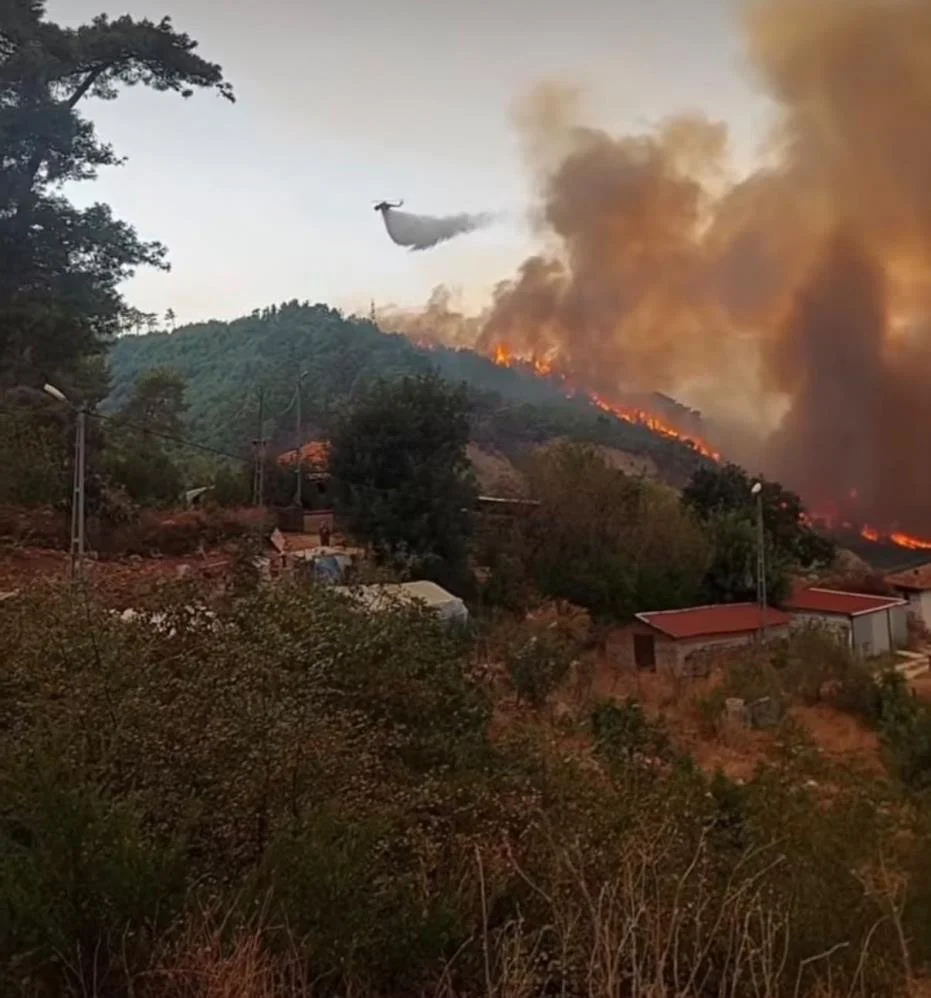 Muğla'da orman yangını: Alevler rüzgarla yayılıyor