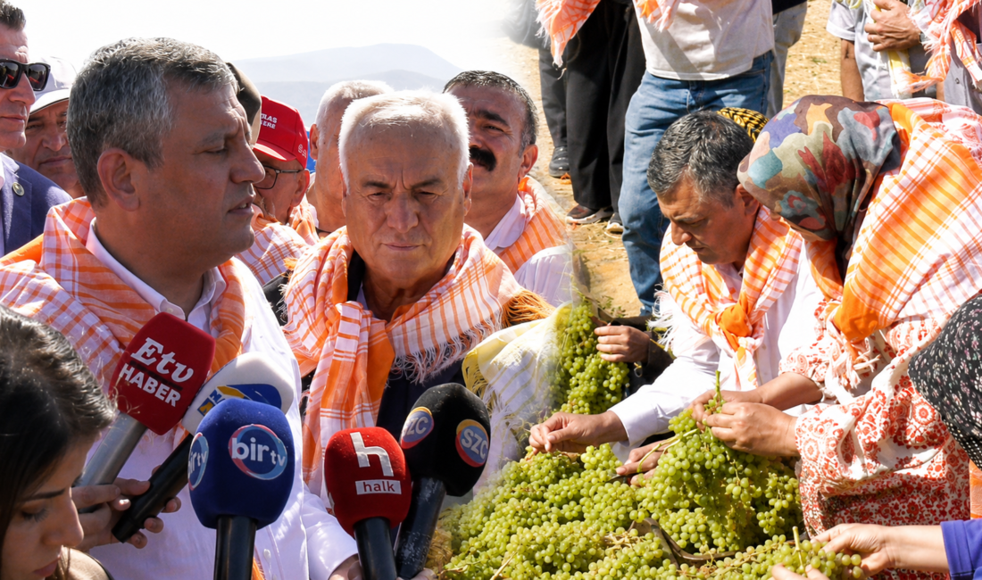 Memleketi Manisa’da üzüm bağlarını ziyaret ederek hasat dönemindeki üreticilerin sorunlarını