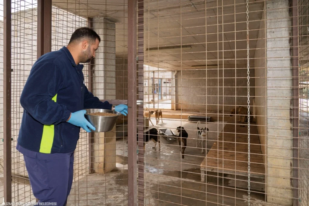 Büyükşehir sahipsiz canlar için kendi mamasını üretiyor: Hedef günde 1 ton 8 Büyükşehir sahipsiz canlar için kendi mamasını üretiyor: Hedef günde 1 ton