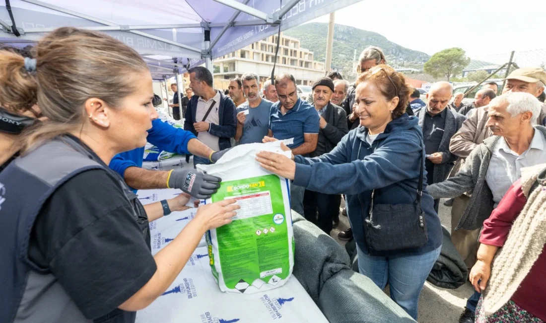 İzmir Büyükşehir Belediyesi Zeytin Çalıştayı kararlarını sahaya taşıdı! Artan girdi