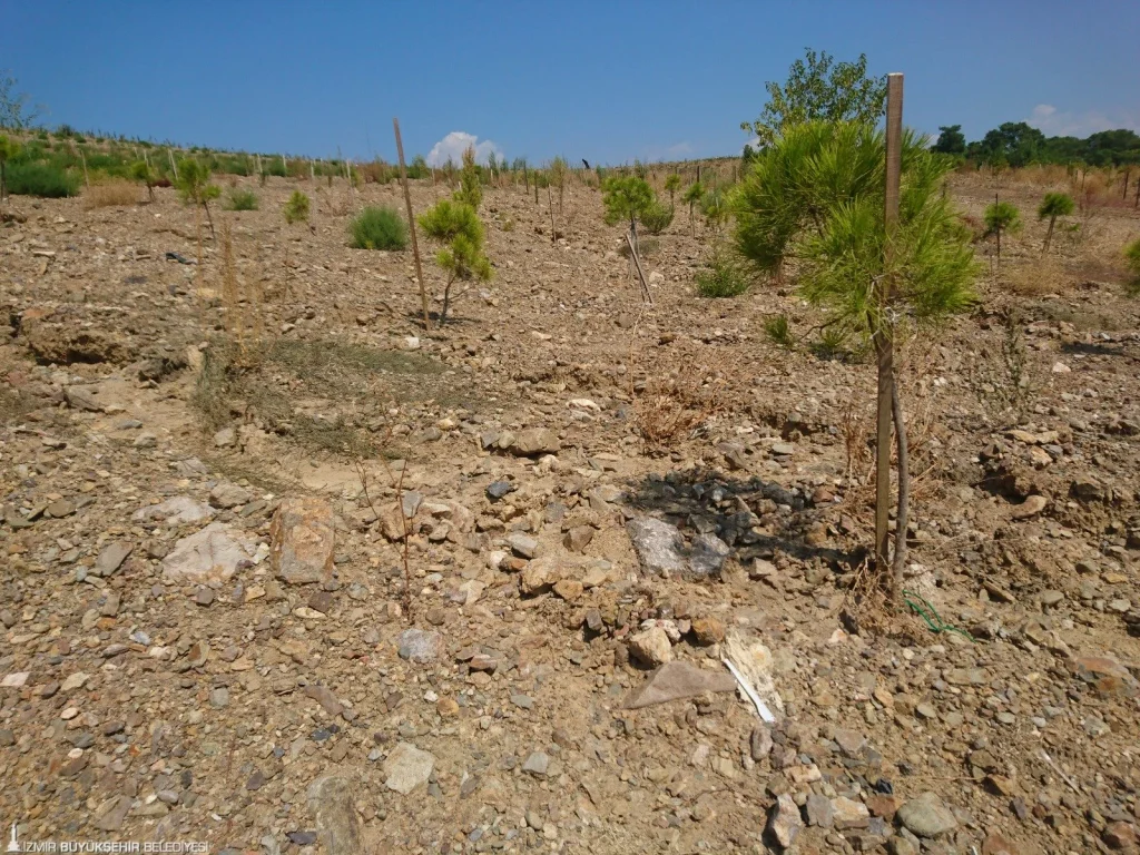 İzmir’de hafriyat toprağına doğa dostu yönetim 8 İzmir’de hafriyat toprağına doğa dostu yönetim