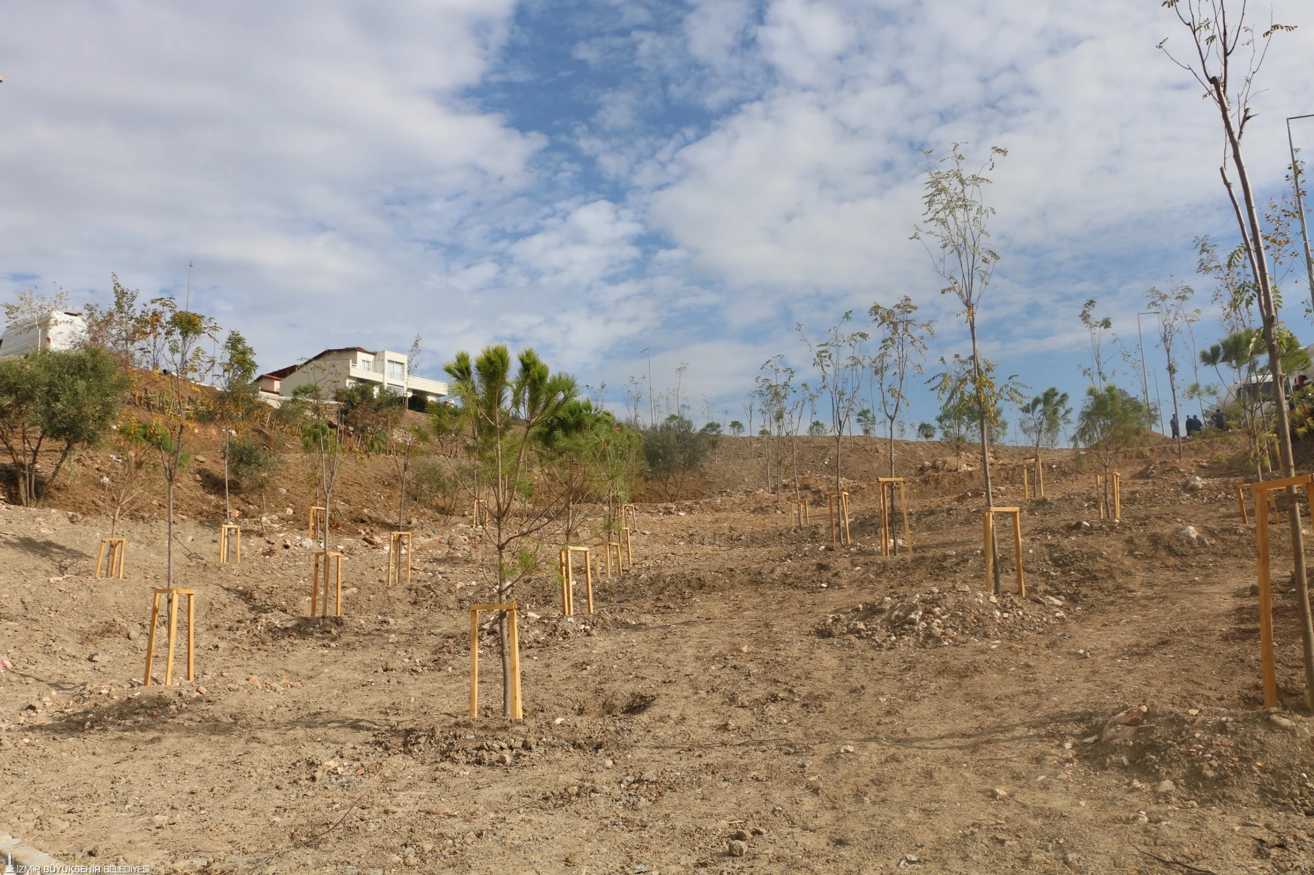 Buca’da 5 dönümlük alanda yeşil dönüşüm