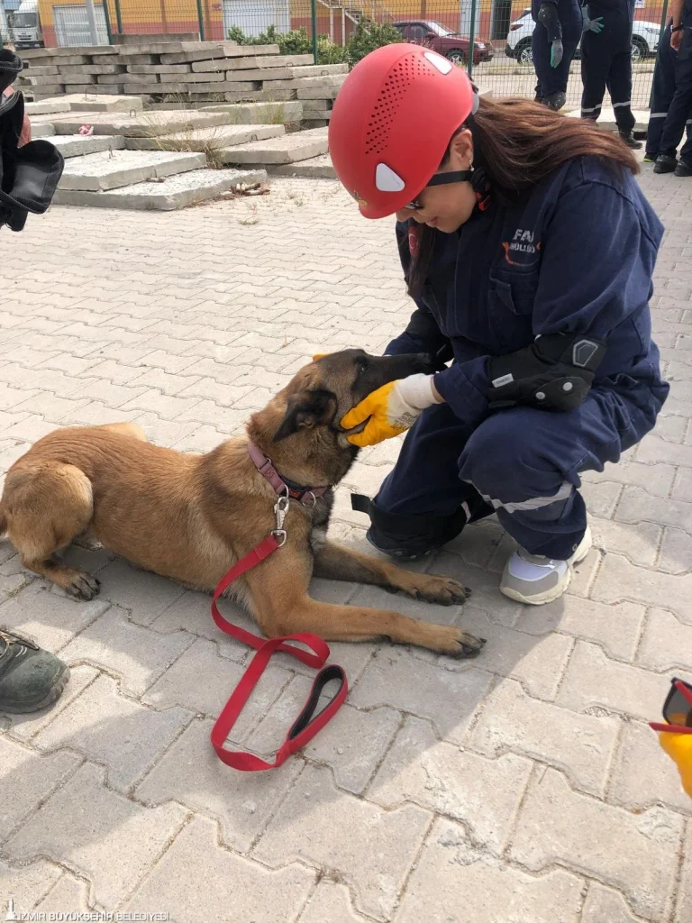23 saat oğlunu enkazda bekledi: Şimdi can kurtarıyor 5 23 saat oğlunu enkazda bekledi: Şimdi can kurtarıyor