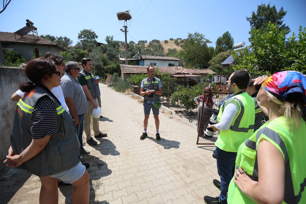 Gediz ve ADM'den anlamlı proje: Elektrik dağıtım şebekeleri kuş dostu standartlara kavuşturulacak