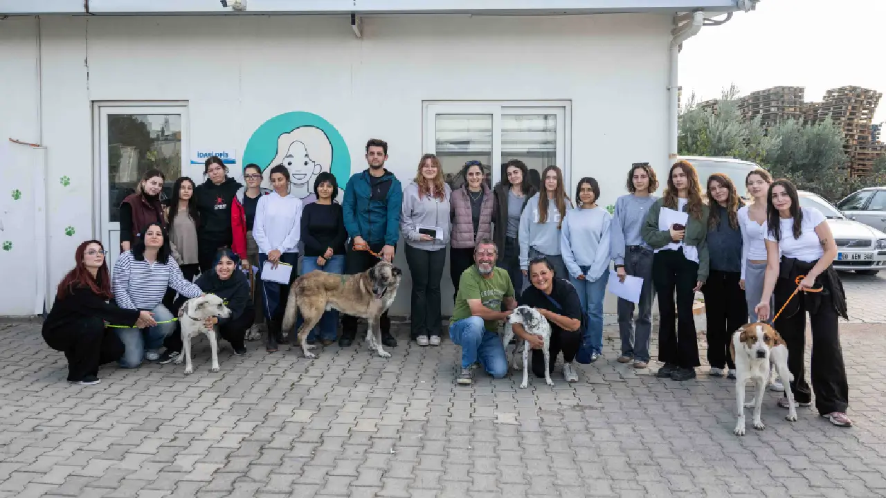 Bornova'da büyük sevinç! 83 can dostumuz sevgi dolu yuvalarına uğurlandı