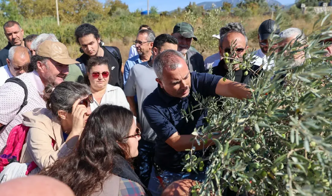 Buca Belediyesi’nin yerel üreticileri ve kırsal kalkınmayı desteklemek amacıyla Halk
