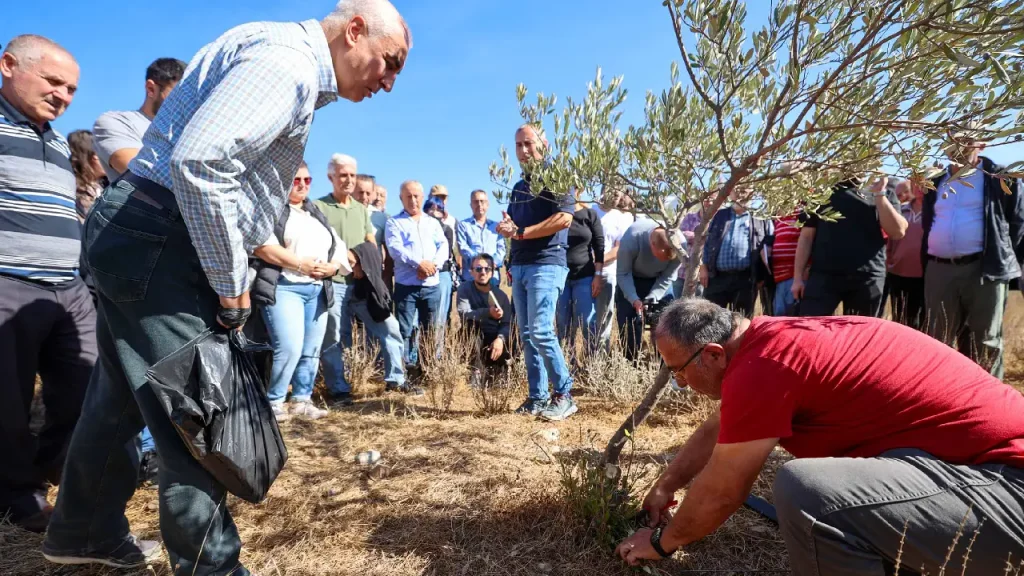 Buca’da “Sertifikalı Zeytin Budama Eğitimi” tamamlandı