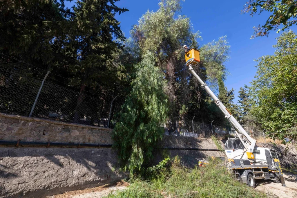 İzmir’in derelerinde kış seferberliği