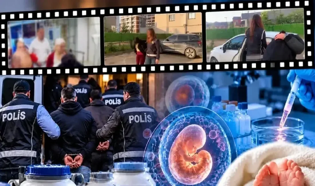 Aralarında İzmir'in de bulunduğu 14 ilde, Türkiye’den KKTC, Arnavutluk ve