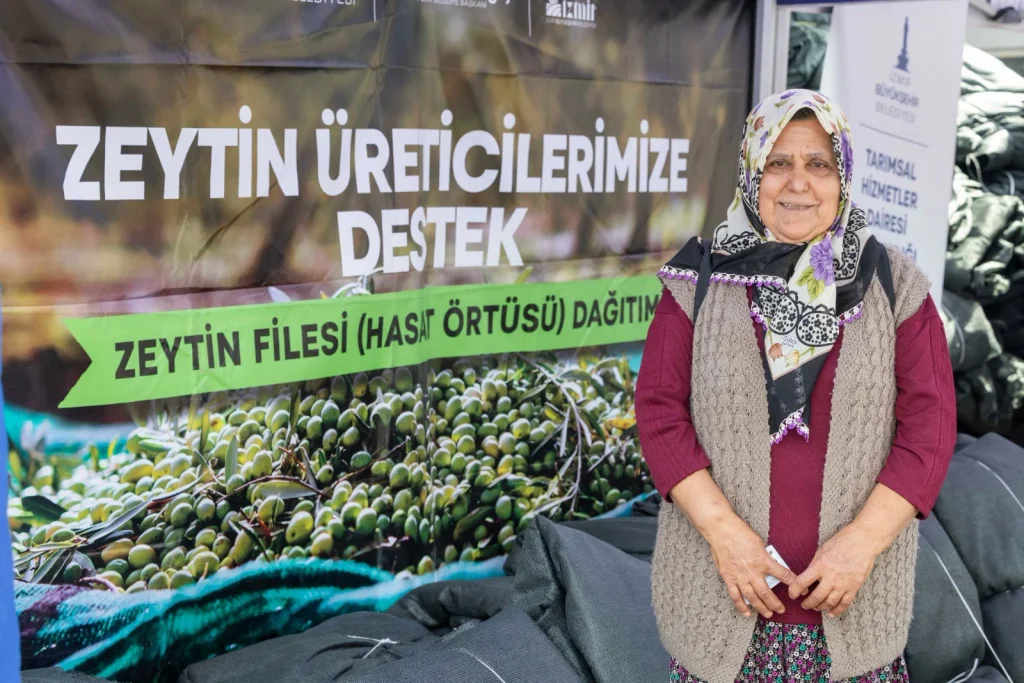 Zeytinde ortak akıl sahaya taşınıyor