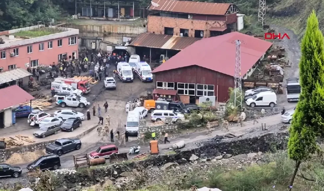 Zonguldak'ın Kilimli ilçesine bağlı Gelik beldesinde faaliyet gösteren özel bir